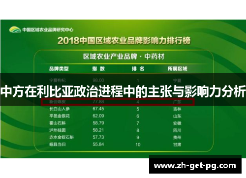 中方在利比亚政治进程中的主张与影响力分析