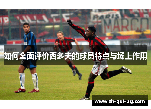 如何全面评价西多夫的球员特点与场上作用